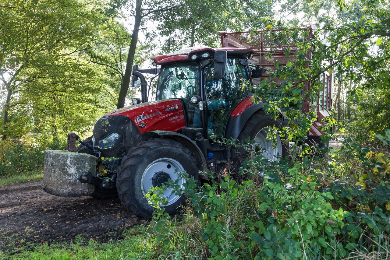 Bild 213 - Maisernte